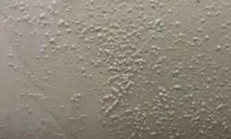 k豆钱包官方网站 - KDpay钱包
