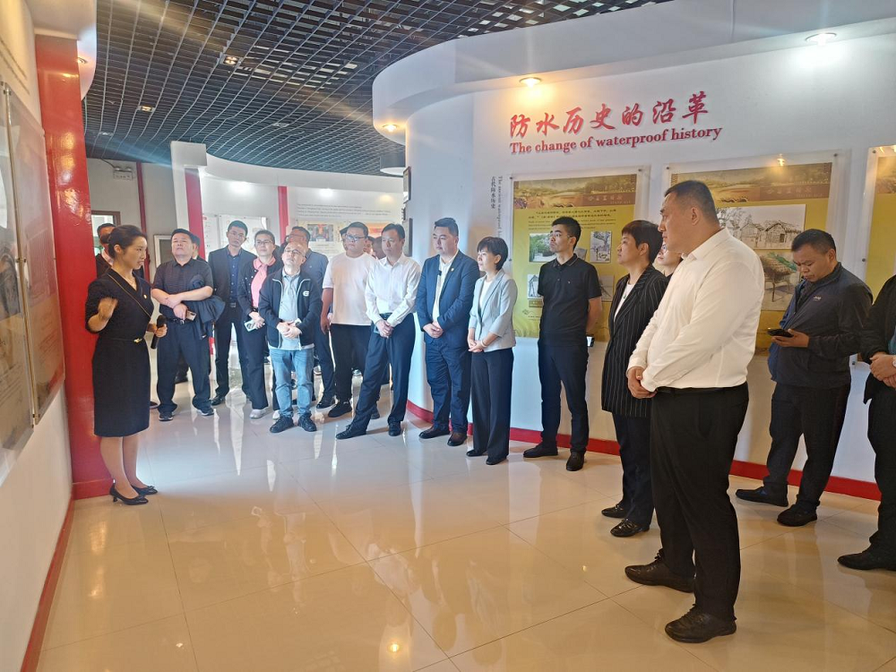 k豆钱包官方网站 - KDpay钱包